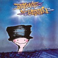 Brumme in Berlin